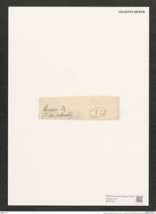Navicula mutica Kuetz. (de-Toni-Nr.: Genus 1, Species 397) Zeichnungen Sammlung Grunow (NHMW-BOT-W0367341)